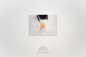 写真展「ファインダー越しの私の世界」ついに開催！