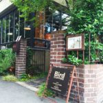 西田早紀の写真