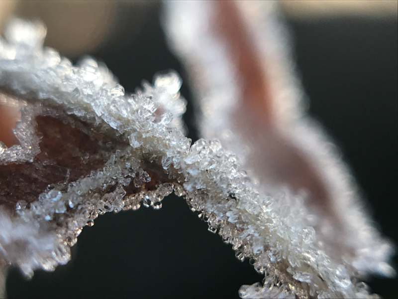 iPhoneで撮った霜の写真