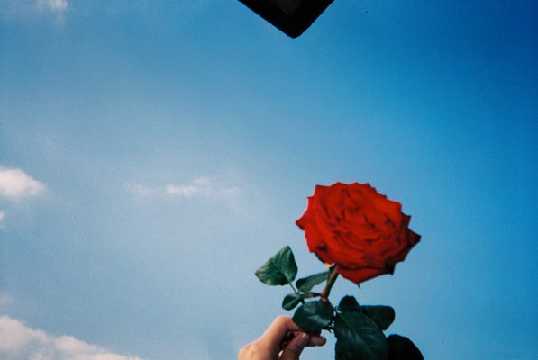 神原がSIMPLEUSEで撮った空バックのバラの写真