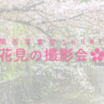 関西写真部SHARE 花見の撮影会2018
