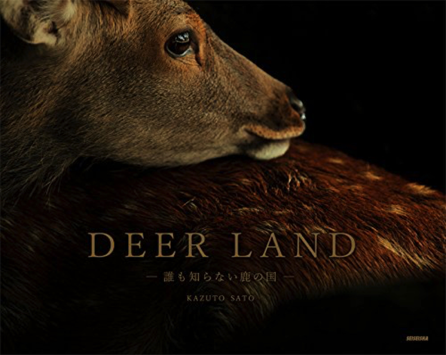 DEER LAND 「誰も知らない鹿の国-」