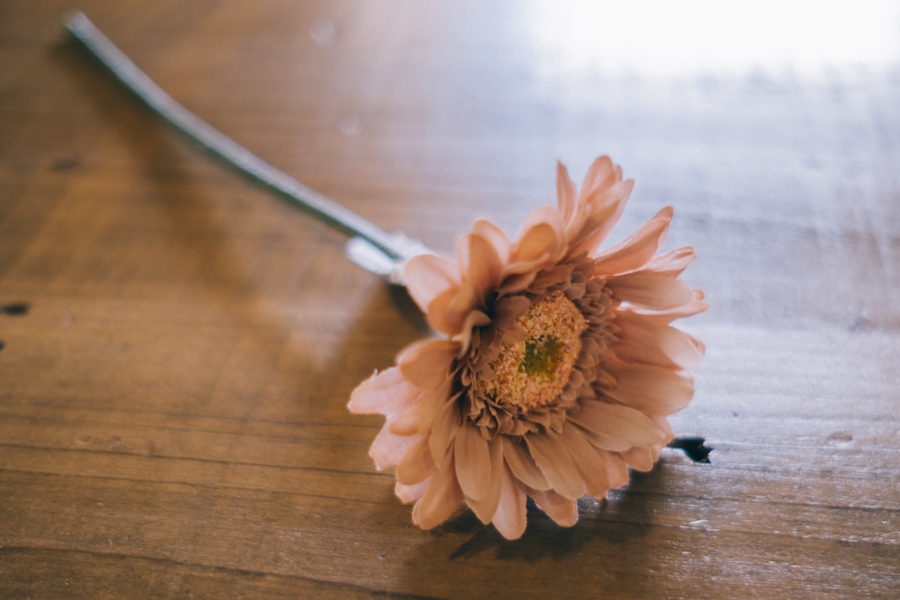 100円アイテム　ポートレート撮影