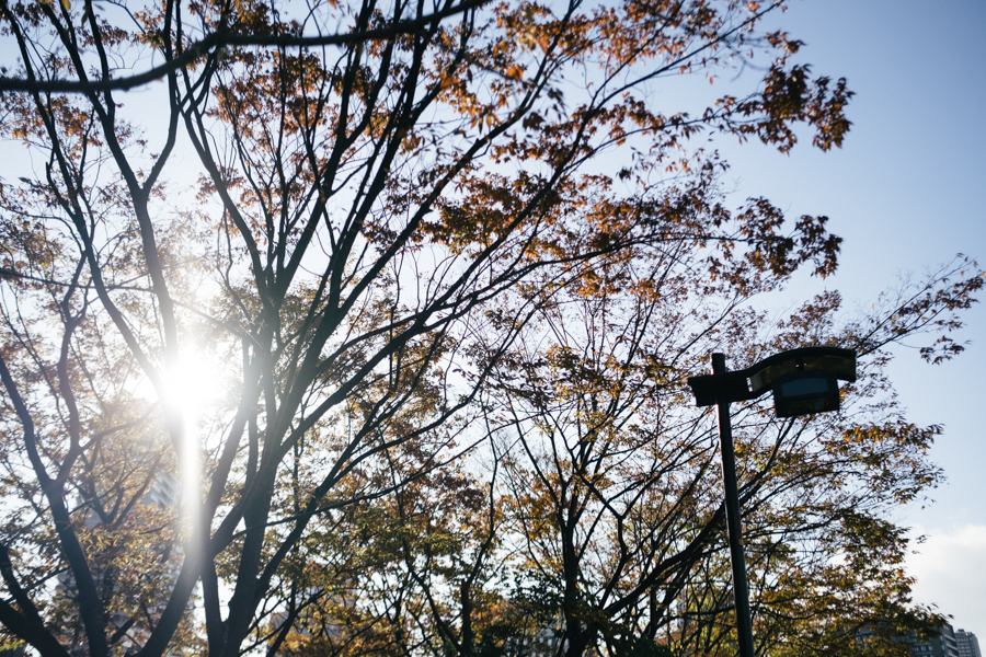中之島カメラ散歩