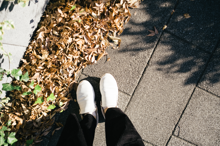 中之島カメラ散歩