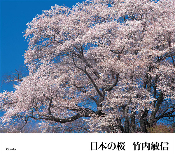 桜の写真集