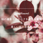 『桜の撮影テクニック』を学べるおすすめの書籍&参考にしたい桜写真集