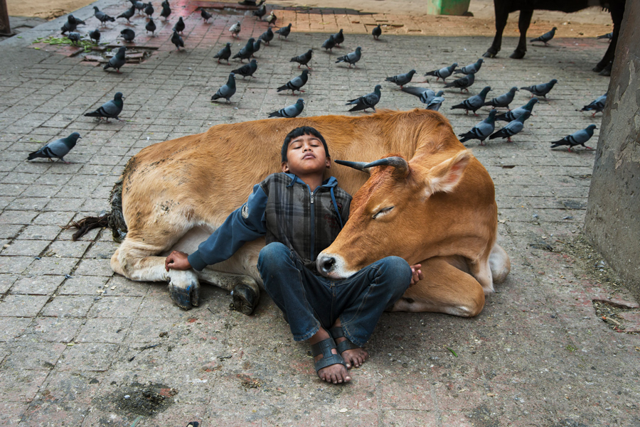 Steve McCurry