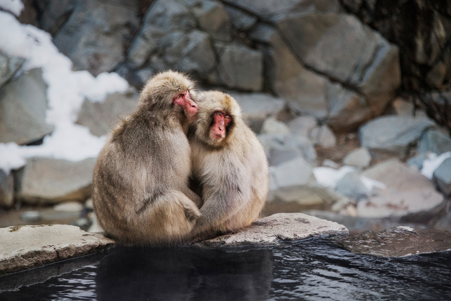 Steve McCurryが写した日本の景色