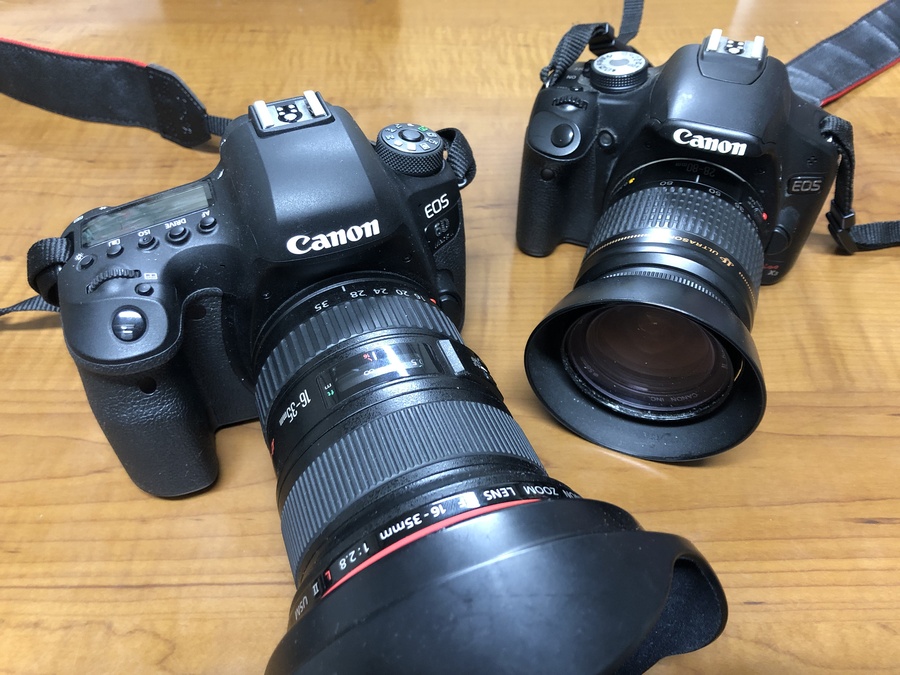 Canon EOS 6D Mark Ⅱレビュー！初めてのフルサイズにおすすめの一台 
