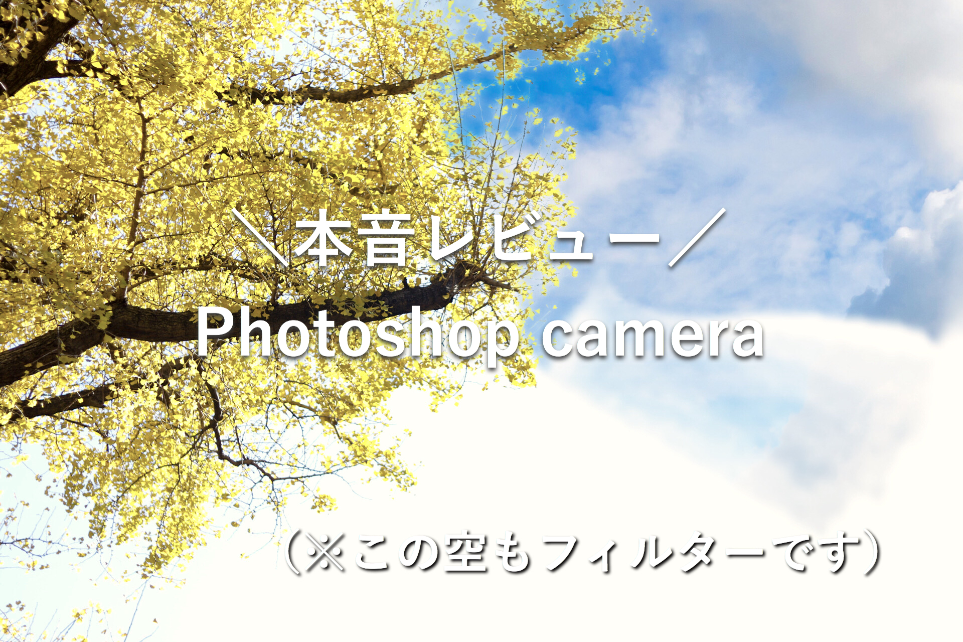 カメラアプリ「Adobe Photoshop Camera」の使い方と本音レビュー