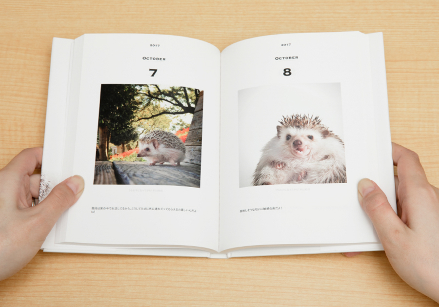 大切なペットの写真を1冊に。フォトブックアプリ「UCHINOKO Diary」新登場 | 関西写真部SHARE