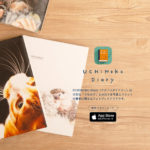 大切なペットの写真を1冊に。フォトブックアプリ「UCHINOKO Diary」新登場
