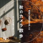 芸術に読書、スイーツ…『秋の風物詩』を楽しむお写ん歩コース