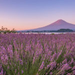 NFT写真家・risa『未来に残したい日本の絶景』CP⁺2024コラボインタビュー