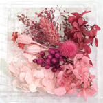 ドライフラワー