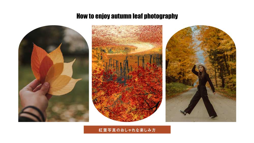 インスタにぴったり！紅葉写真をおしゃれに撮る5つのヒント