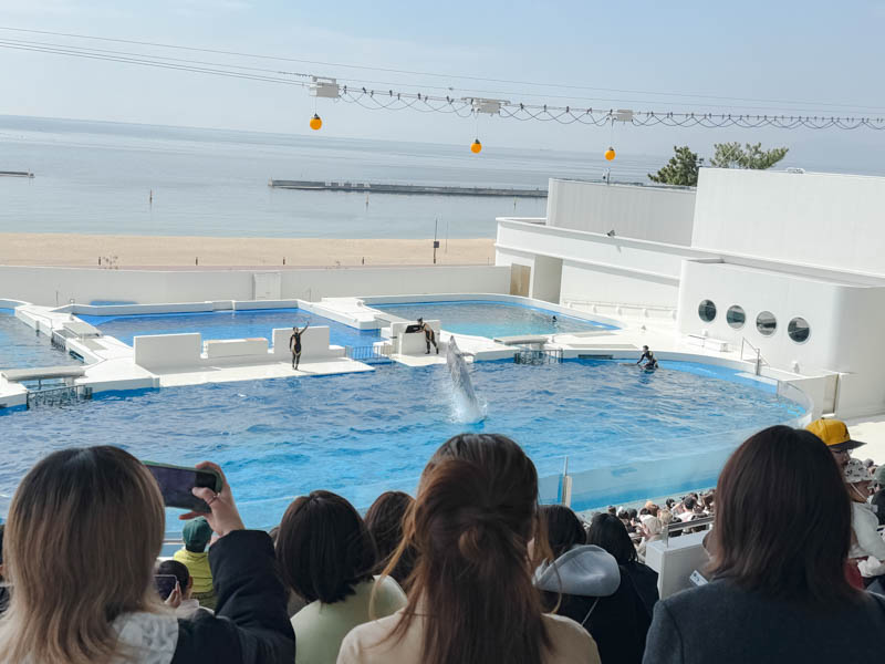 須磨シーワールド